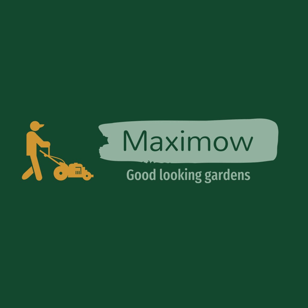 Maximow high logo